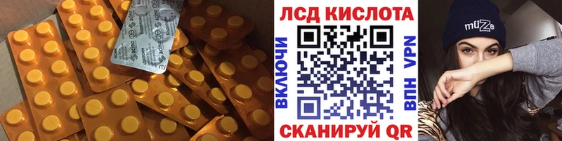 купить   Вихоревка  блэк спрут рабочий сайт  Лсд 25 экстази ecstasy 