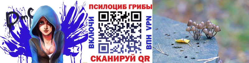 Псилоцибиновые грибы Magic Shrooms  как найти   Вихоревка 