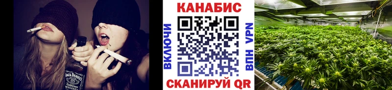 Шишки марихуана марихуана где продают наркотики Вихоревка